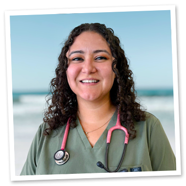 Ponte Verda Veterinary Staff