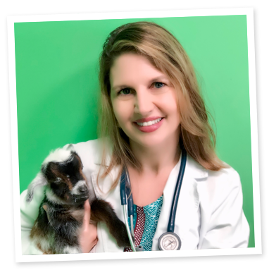 Dr. Carissa Hottinger